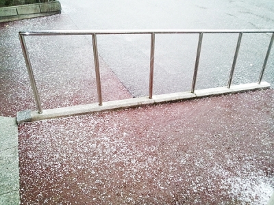 初雪