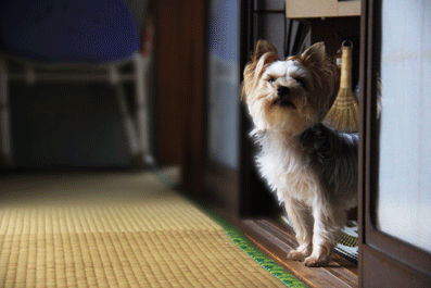 R100814_0048.gif