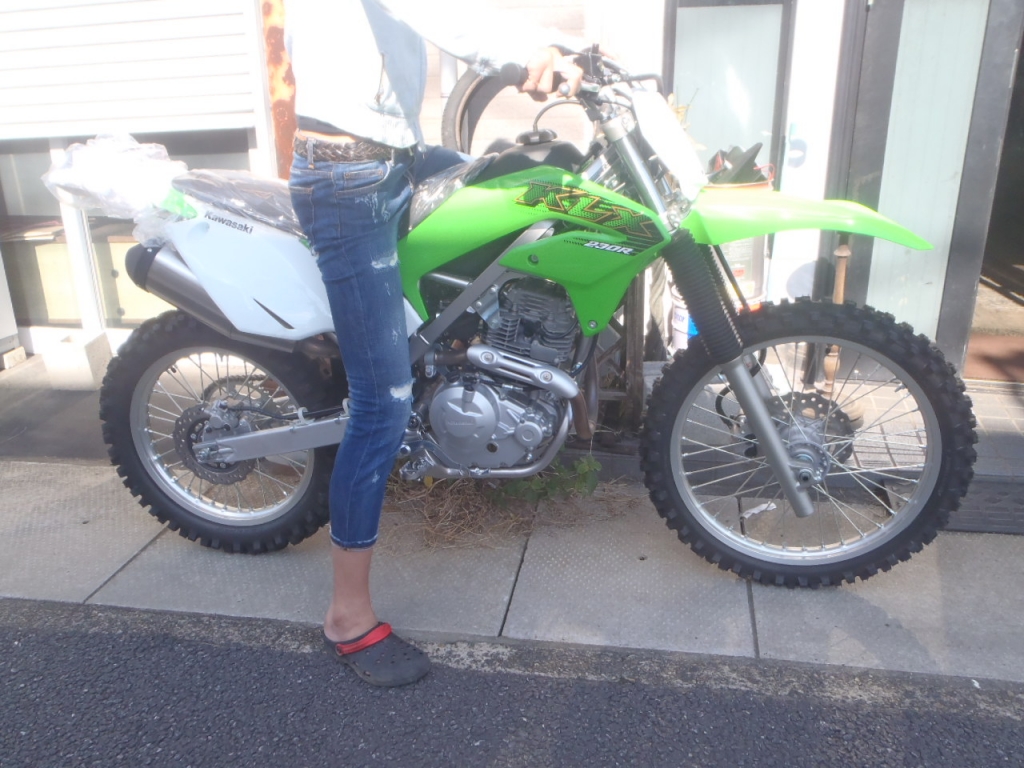 WHOOPS 【KLX230/230R/230SM】 ☆チタン quetz4.com