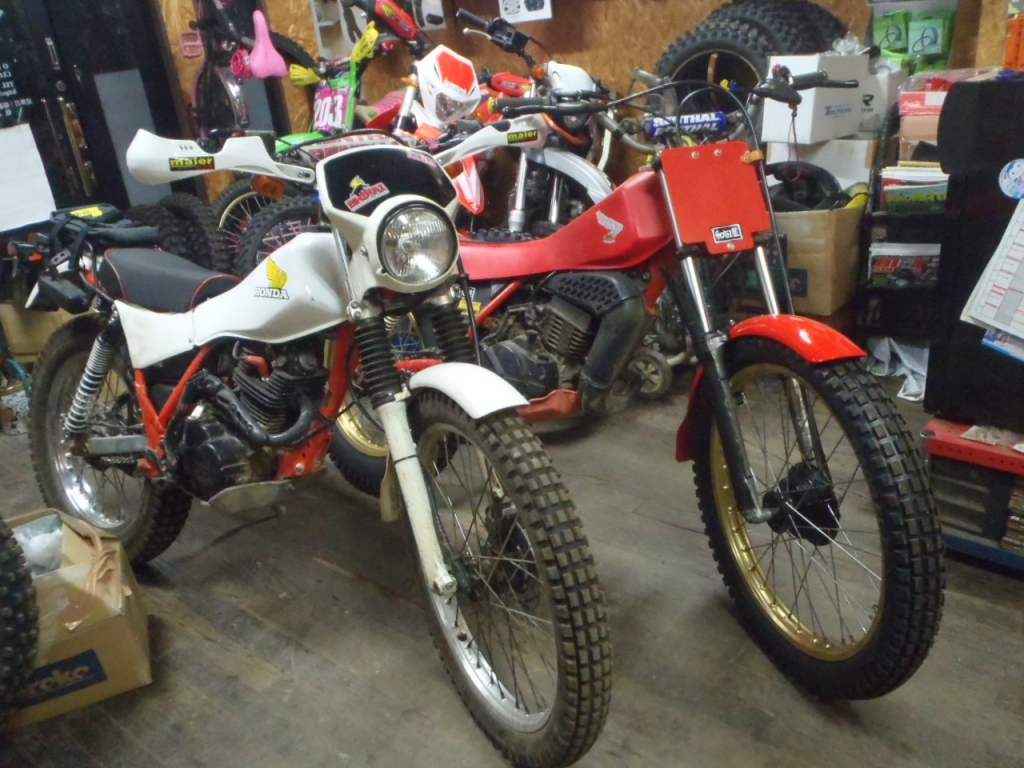 ホンダ TLR200 トライアル キャンプ ツーリング 【TLR200 林道