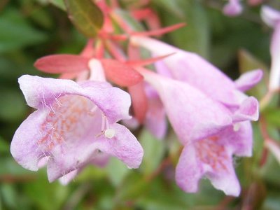 F20060613b.jpg