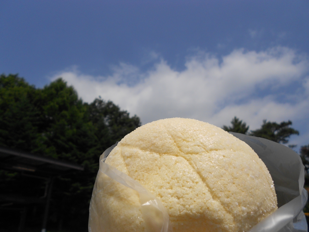 駒ヶ岳sa 人気no1 りんごメロンパン りんごblog