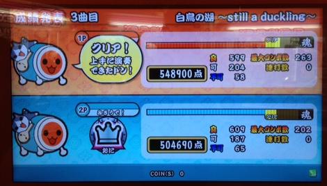 本日の裏白鳥