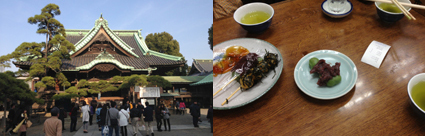 柴又帝釈天と高木屋さんの団子