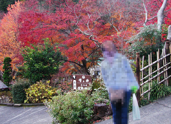 紅葉の澤乃井ままごとや
