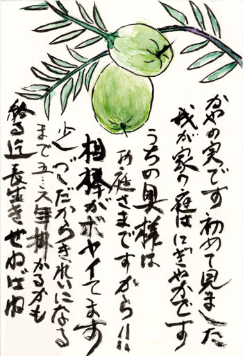 母の絵手紙_茅の実