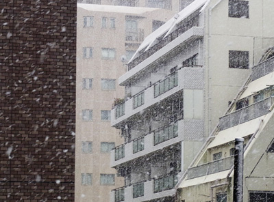 東京も吹雪いてます