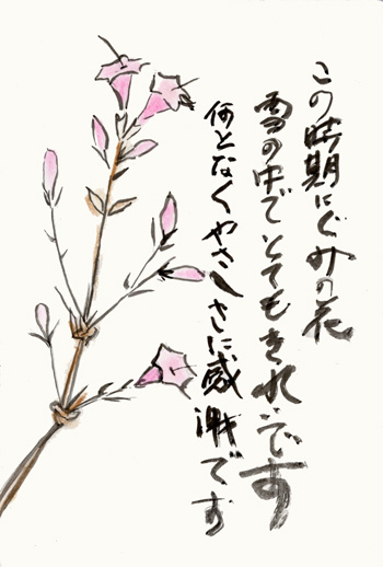 グミの花 母からの絵手紙