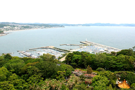 ハーバーの絶景