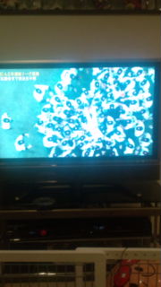 20130922210333.jpg