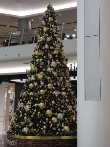 IMG_5816.jpg