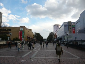 パルテノン多摩へ