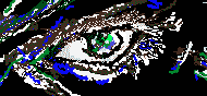 ミル