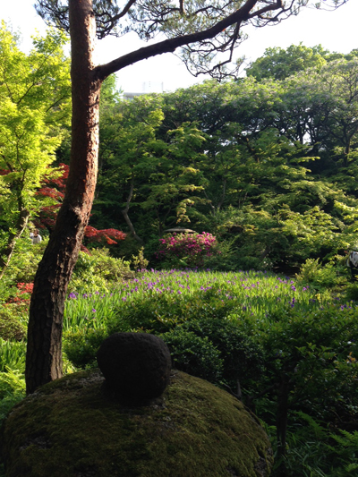 根津美術館、尾形光琳、庭園、燕子花