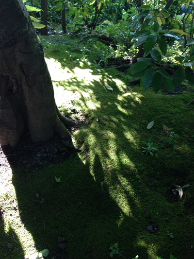 根津美術館、尾形光琳、庭園、燕子花