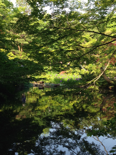 根津美術館、尾形光琳、庭園、燕子花