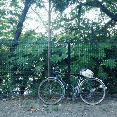 夏休み、二つ池、涼、ライフスタイル、癒し、夏空