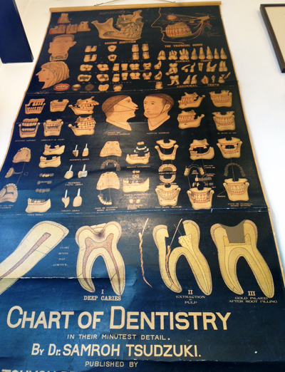 アナトミーチャート、解剖図、歯科、アンティーク、戦前、アートポスター