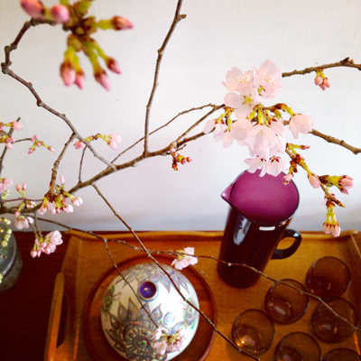 ナンセンス下北沢、店内、ディスプレイ、桜、フラワーアレンジ、花見