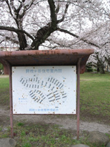 看板
