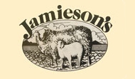 js-logo.jpg