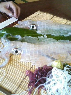 20060507_166847.JPG