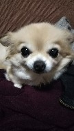 IMG_20171227_084410.jpg