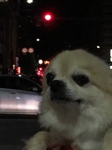 IMG_20180816_212828.jpg