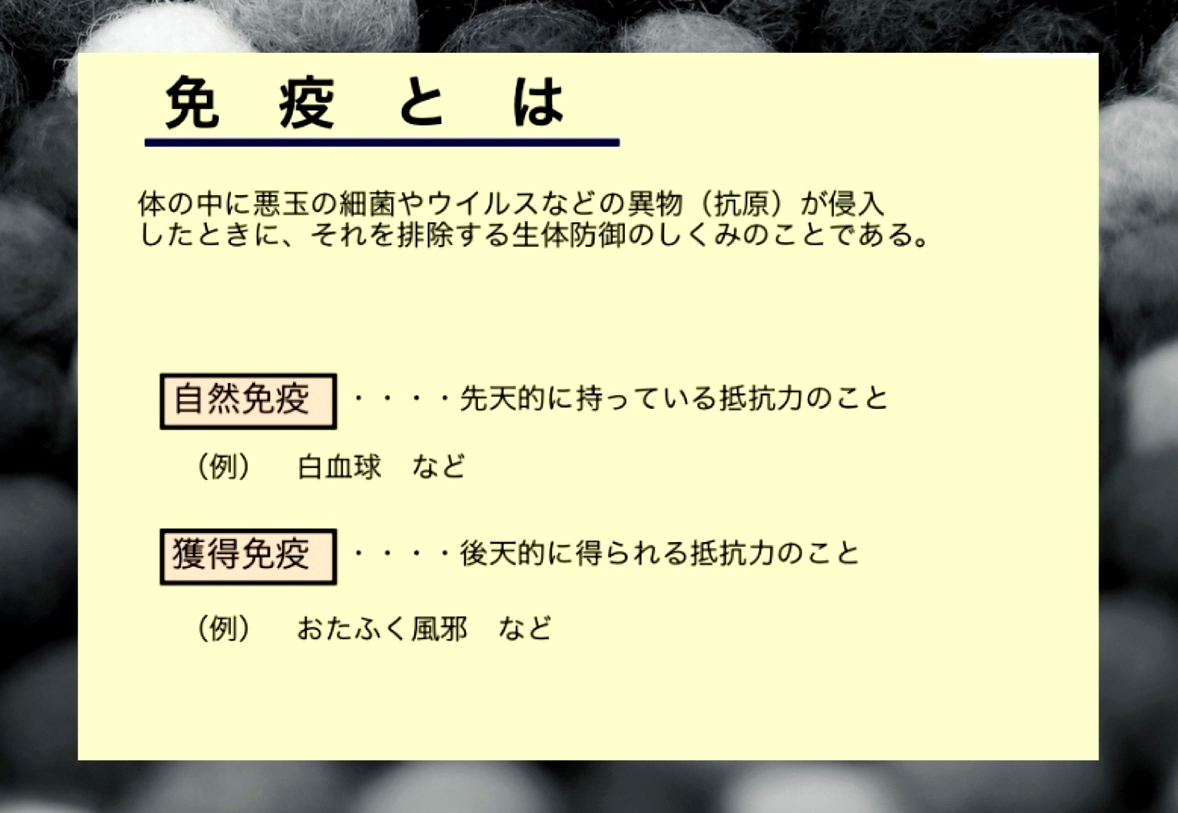 1¥¢¥ì¥ë¥®¡¼.jpg