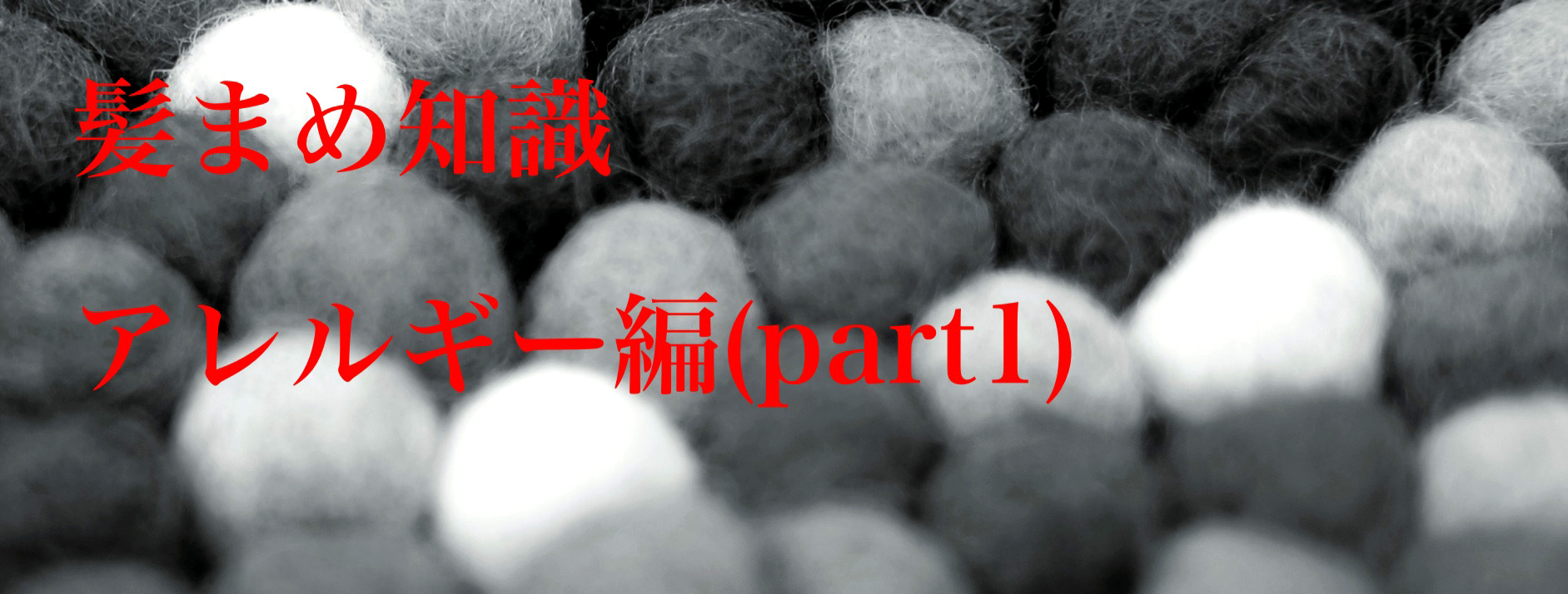 ¥¢¥ì¥ë¥®¡¼3.jpg