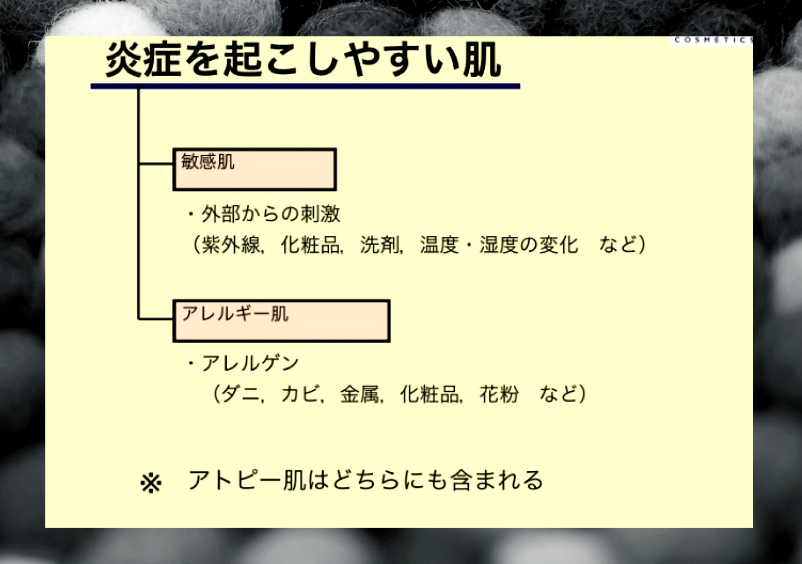 ¥¢¥ì¥ë¥®¡¼5.jpg