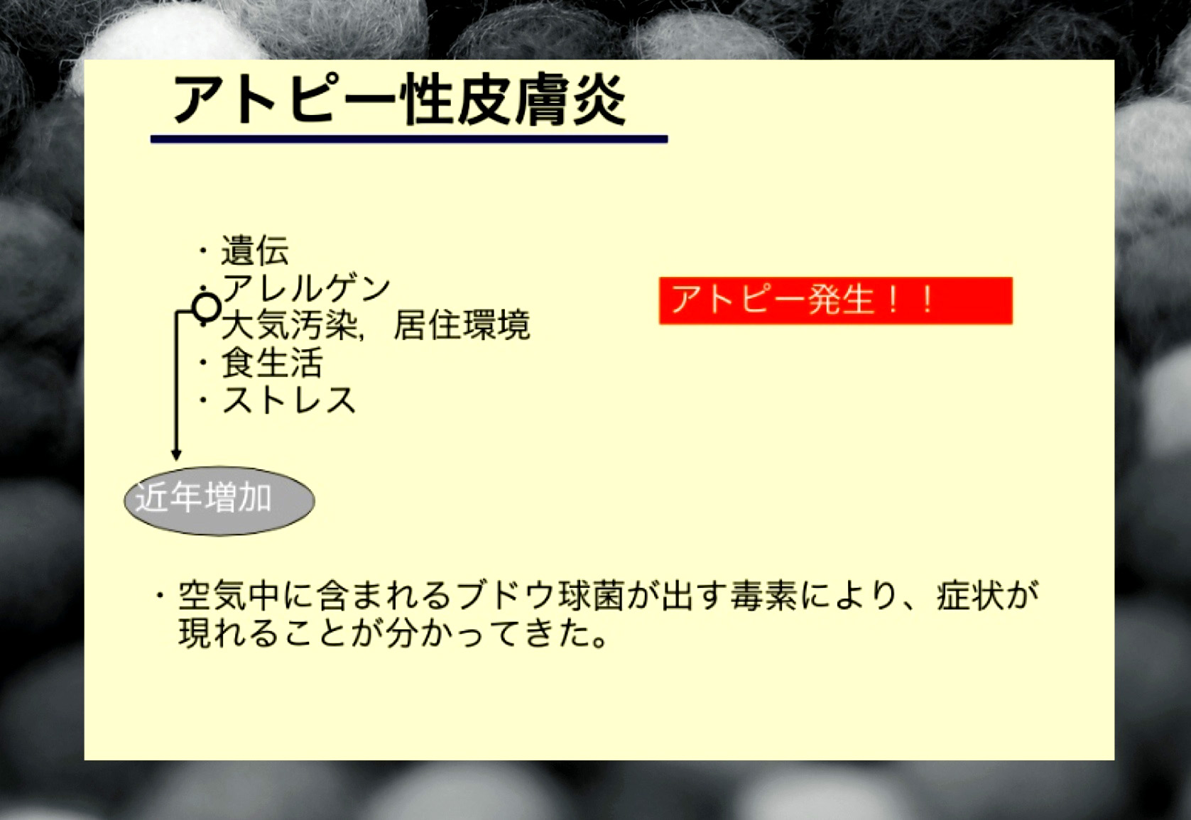¥¢¥ì¥ë¥®¡¼7.jpg