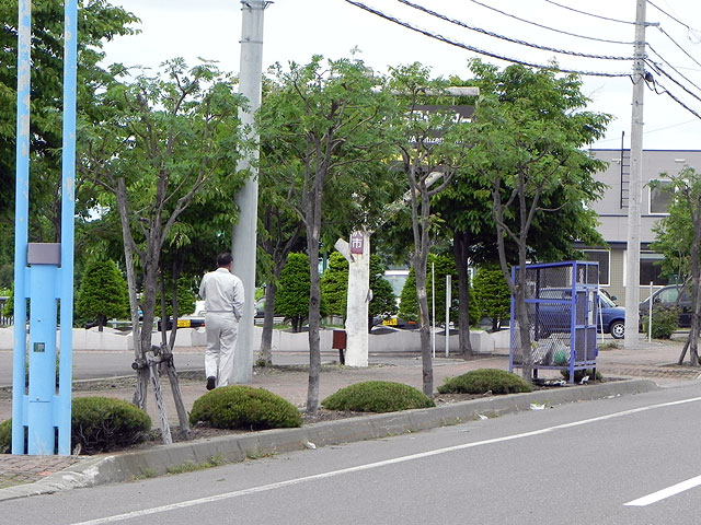 継続は力なり 剪定 Green Artist