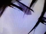 画像0019.jpg