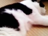 画像0012.jpg
