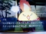 画像0045.jpg