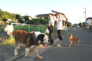 お散歩
