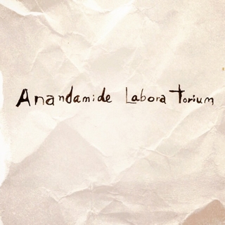 Anandamide Laboratorium | Anandamide Laboratorium