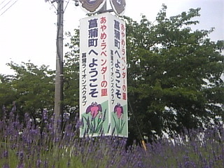 1_ºë¶Ì¸©¾Ô³÷Ä®¥é¥Ù¥ó¥À¡¼.jpg