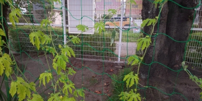 20190801_2304739.jpg