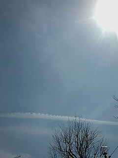 20120415114201.jpg