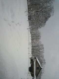 2011030308440000.jpg