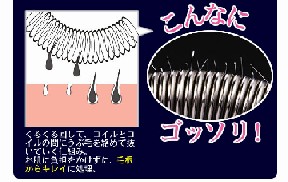 毛根からしっかりうぶ毛を脱毛できます。