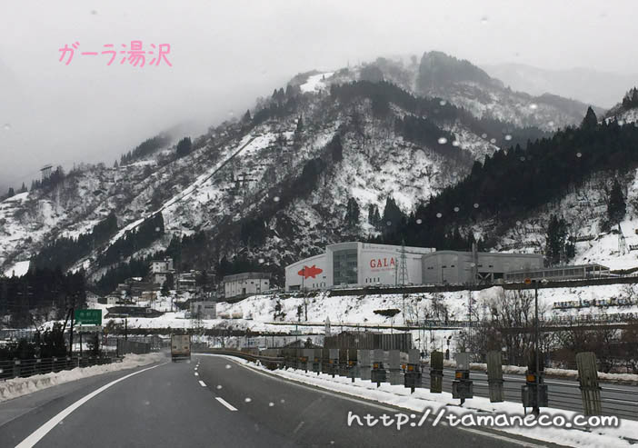 ガーラ湯沢外観(高速道路から)ステーション?