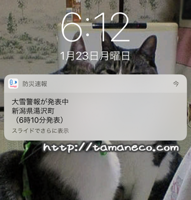 大雪警報アラーム?