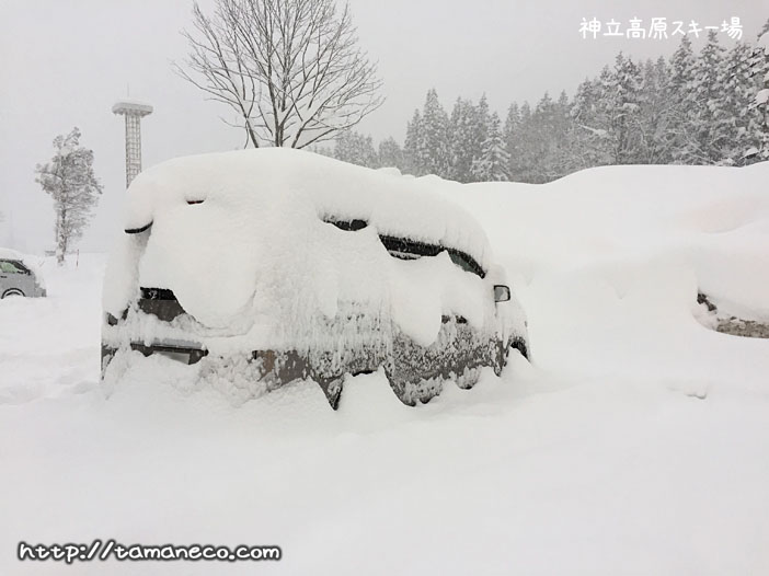 神立高原スキー場スキー場