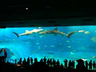 20100205144649.jpg