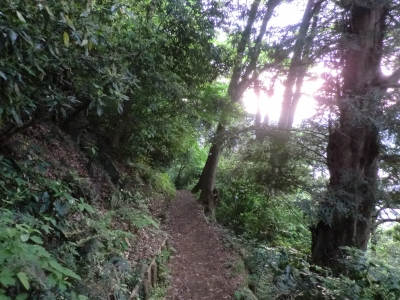 城山の道