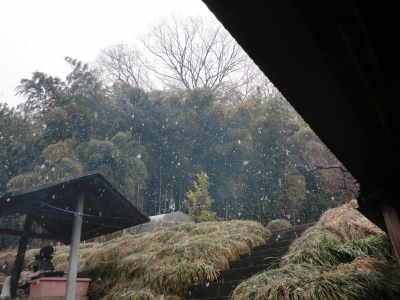雪が本降りに