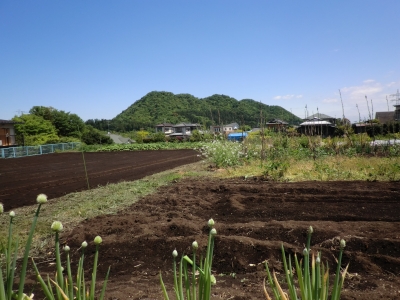 城山がきれい